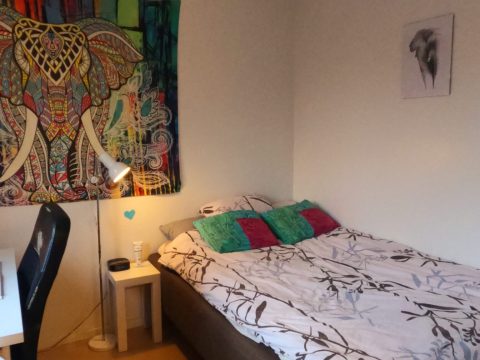 GOPR1406_1763544048439